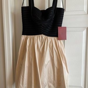 JS Collection NWT Cocktail Dress Black & Champagne (Off White) Size 6